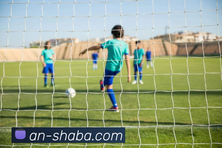 沙巴体育官网平台生态图